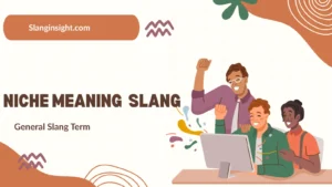 Niche Meaning Slang