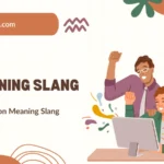 Bov Meaning Slang